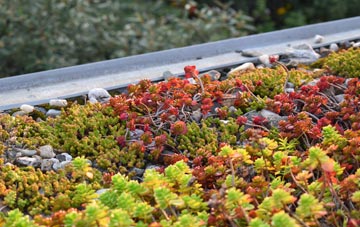 the cost of Clwt Y Bont green roof installation