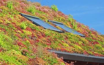 Clwt Y Bont living roof systems
